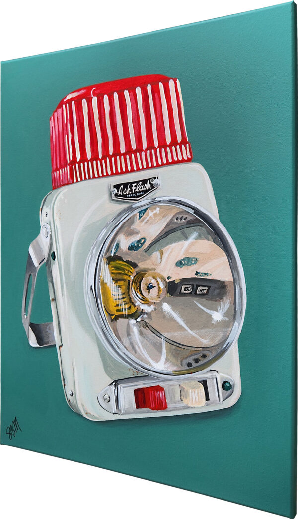 Sagan Medvec Painting Ash Flash Angled