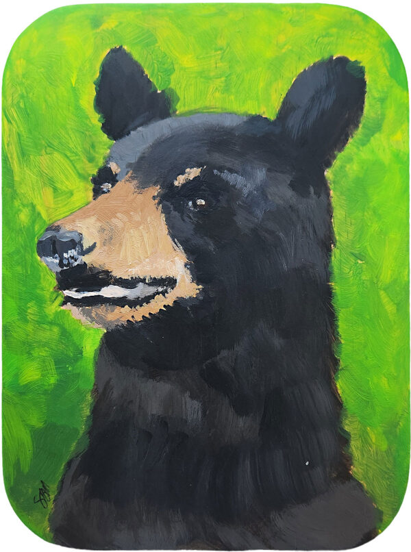 Sagan Medvec Painting I'm Not A Dog Front