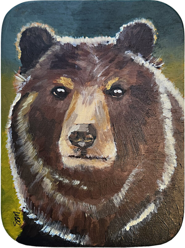 Sagan Medvec Painting Bear The Statesman Front