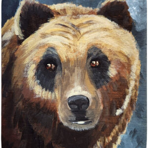 Sagan Medvec Painting Bear Where? Front