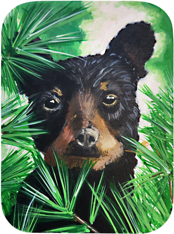 Sagan Medvec Painting Bear You Can't See Me Front