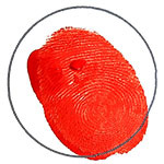 Seal of Authenticity